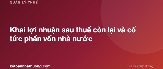 Khai lợi nhuận sau thuế còn lại và cổ tức phần vốn nhà nước - ketoannhathuong.com