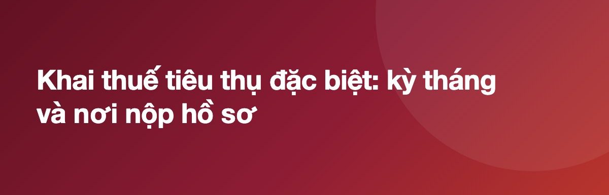 Khai thuế tiêu thụ đặc biệt: kỳ tháng và nơi nộp hồ sơ