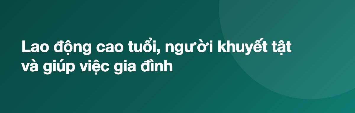 Lao động cao tuổi, người khuyết tật và giúp việc gia đình
