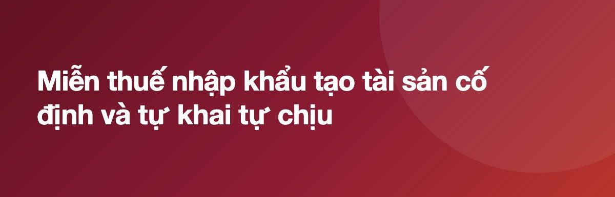 Miễn thuế nhập khẩu tạo tài sản cố định và tự khai tự chịu